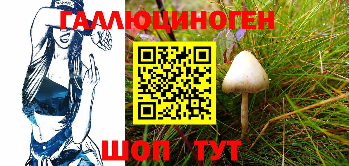 Псилоцибиновые грибы Magic Shrooms Каменск-Уральский