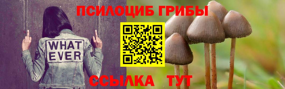 Галлюциногенные грибы мухоморы  Галлюциногенные грибы MAGIC MUSHROOMS  Вход с VPN  Каменск-Уральский 